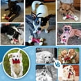 thumbnail image 3 of Juguetes Resistentes Zinbo Verde Indestructibles para Perros Masticadores Agresivos, 3 of 7