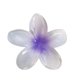 thumbnail image 1 of Pinzas de flores creativas Pinzas para el cabello lindas Pinzas de tiburón Pinzas para el cabello Pinzas para el cabello personalizadas (2 piezas) Botao, 1 of 4