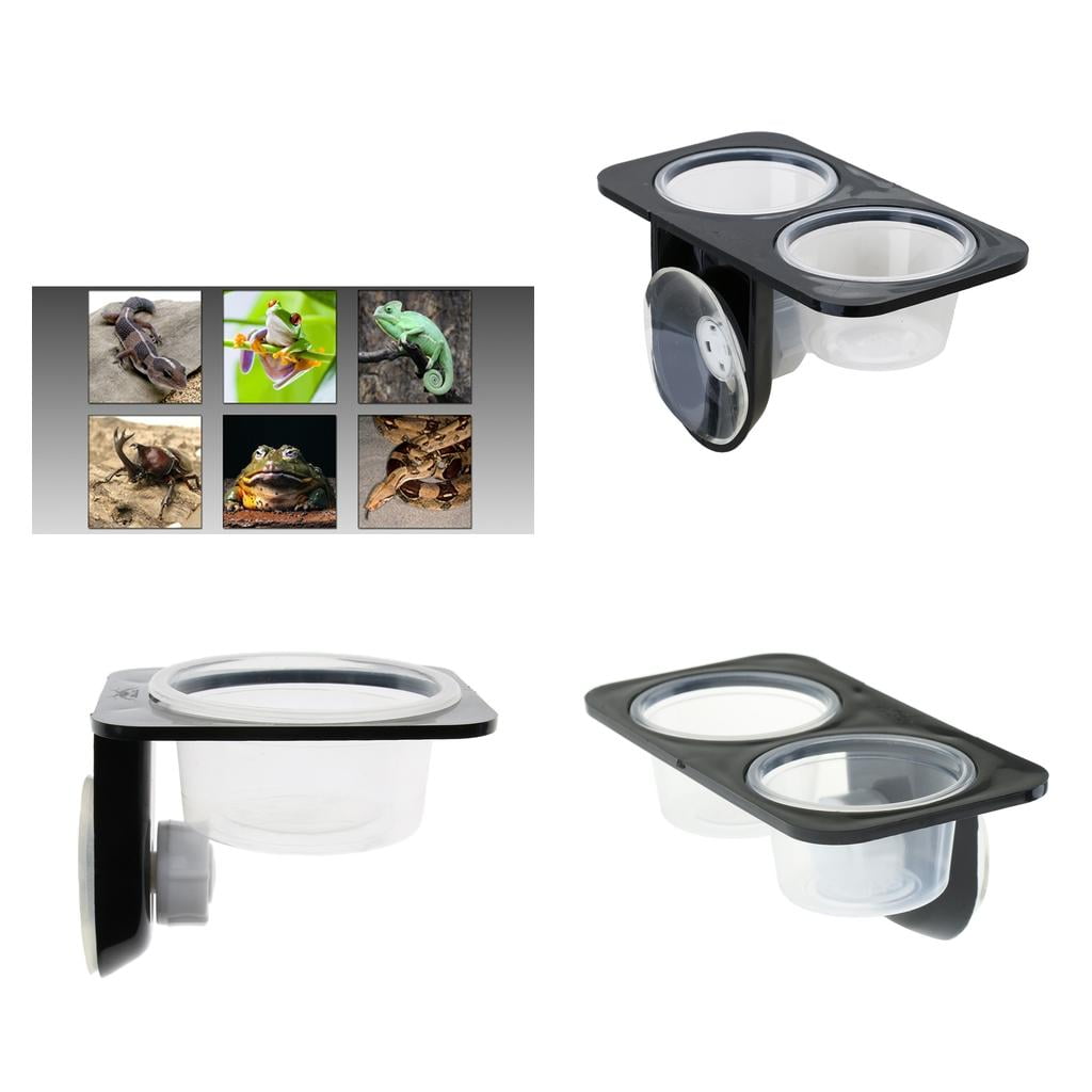 3Pcs Dual Single Reptile Feeding Bowl With Suction Cup Gecko Beetle