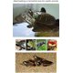 thumbnail image 4 of Plate-Forme de Reptile Plate-Forme de Tortue, Turtle Basking Flottant Plateforme Résine Abri pour Reptiles Aquarium Ornement Réservoir Aquarium pour Grenouille Animaux Semi Aquatiques, 4 of 4