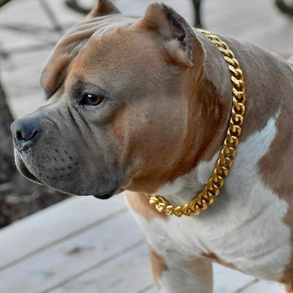 5D DIY Artificial Full Diamond Painting Set - Adult Beginner, Animal Dog Theme for Home Wall Decor & Gift - Perfect for Art Lovers & Adults