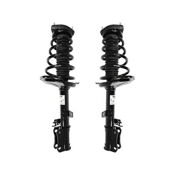 Rear Strut Assembly Kit - Compatible with 2007 RX350 FWD
