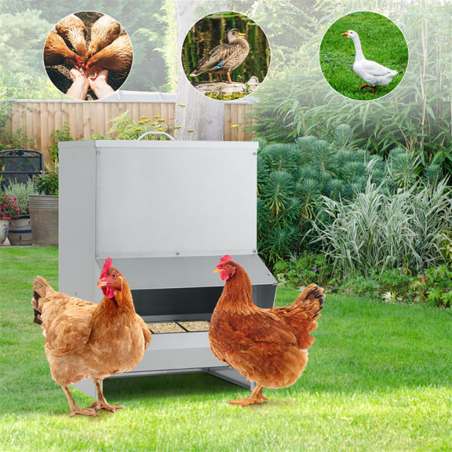 Kadyn Wall Galvanized Chicken Trough Feeder, Weatherproof Poultry Food Dispenser with Lid 50LB Capacity, Silver