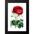 thumbnail image 2 of Anonymous 10x14 Black Modern Framed Museum Art Print Titled - Rose, Duchess of Norfolk (1852-1861), 2 of 5