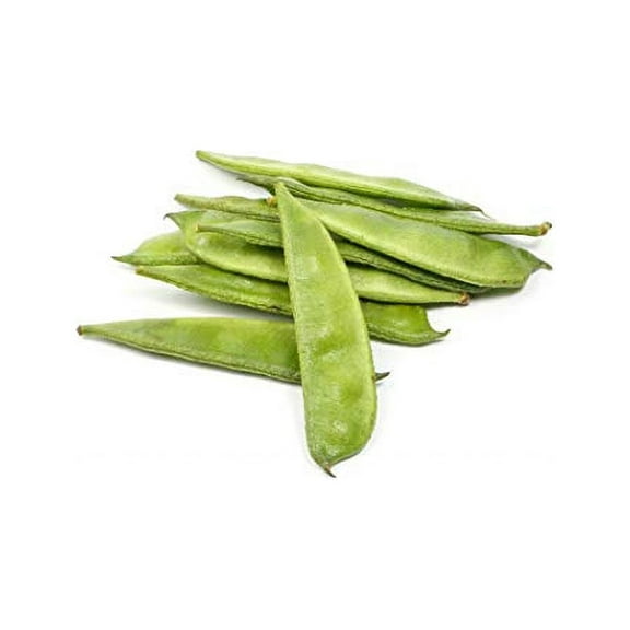 Roma II Bush - Bean Seeds