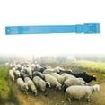 thumbnail image 3 of Goat Collar, 10Pcs Goat Collar Sheep Identification Bands Livestock MarkingFarming Equipment, 3 of 8