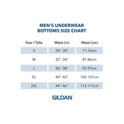 Gildan Mens Regular Leg Boxer Briefs, Navy/Charcoal/Stripe/Royal, Small