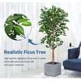 thumbnail image 5 of Ficus Artificial Trees- 5Ft Tall Silk Ficus Tree with Realistic Leaves and Natural Trunk Faux Tree in Stable Pot Aesthetic Room Decor (5Ft - 2Packs)…, 5 of 5