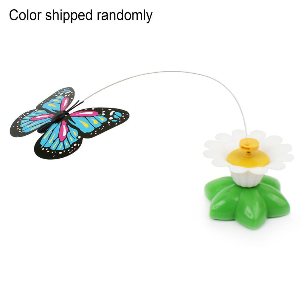 butterfly cat toy walmart