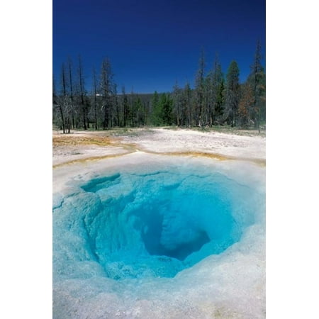 Morning Glory Pool Yellowstone National Park Wyoming Canvas Art - Adam Jones  DanitaDelimont (24 x (Best Way To Visit Yellowstone National Park)