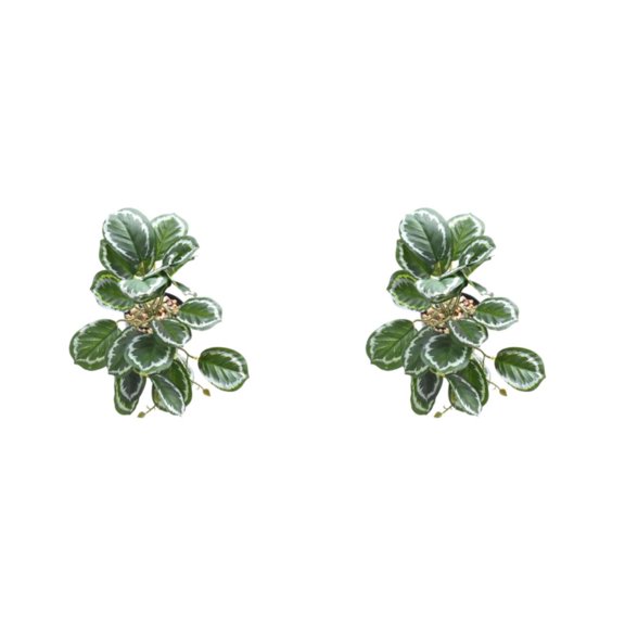 Decoraciones realistas para terrarios Injueey Hoja de pavo real artificial no tóxica 2Conjunto