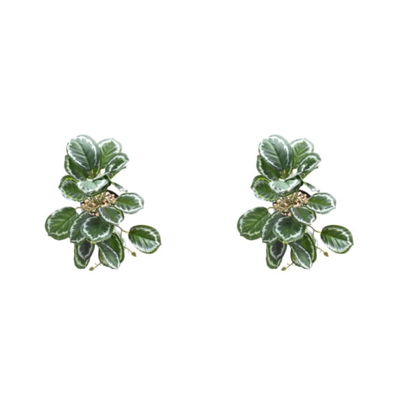 Toystoory Decoraciones realistas para terrarios - Apariencia realista Hoja de pavo real artificial no tóxica de bajo mantenimiento hoja de pavo real 2Conjunto