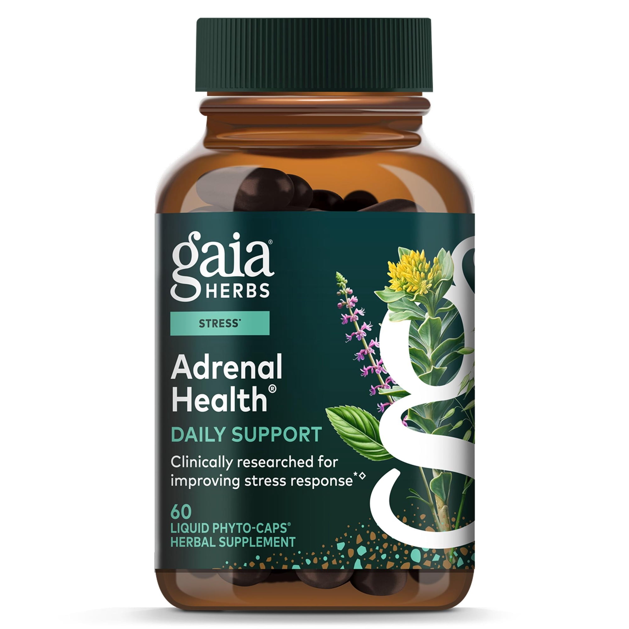 Gaia Herbs Adrenal Health Daily Support - Herbal Supplement with Ashwagandha, Holy Basil & Schisandra - Help Maintain Healthy Energy & Stress Levels* - 60 Vegan Liquid Phyto-Caps (30 Servings)