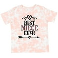 thumbnail image 3 of Inktastic Best Niece Ever from Aunt Girls Toddler T-Shirt, 3 of 5