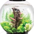 thumbnail image 6 of biOrb Aquarium Plants Winter Fern Plant Set of 2 - Plastic, Medium, Green & White, 6 of 7