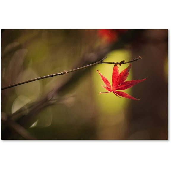 Trademark Fine Art "Don't Give Up" Canvas Art by Philippe Sainte-Laudy