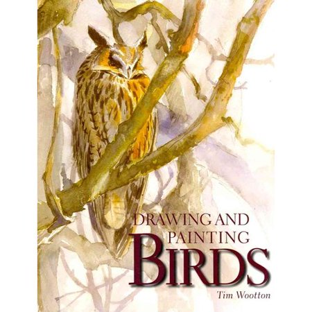 Drawing and Painting Birds