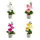 thumbnail image 4 of Injueey Flores de orquídeas artificiales Flores artificiales Phalaenopsis artificiales Flores en macetas artificiales Decoración Amarillo, 4 of 6