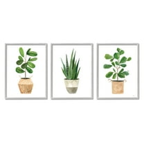 Stupell Minimal Potted Plants Botanicals Botanical & Floral Painting Gray Framed Art Print Wall Art, Set of 3