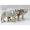 thumbnail image 3 of 1:6 Prairie Wolf Model High-end Birthday Gift Car Interior Decoration Home Decoration Super Simulation My Lux Decor Round, 3 of 10