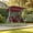 Wine Red, variant on 2-Seat Patio Porch Swing with Stand, Outdoor Swing Chair with Adjustable Canopy & Cup Holders for Backyard, Garden & Deck