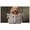 Cream, Brown, White, Tan, variant on TV Cover Indoor, Cute Puppy Stretch TV Dust Cover Television Screen Protector, Funny Dogs Reading Newspaper Toilet Elastic Polyester Display Covers, Monitor Slipcover for LED LCD TVs 24 Inch