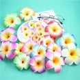 thumbnail image 4 of Nvzi 10Pcs 9cm Plumeria Hawaiian Foam Frangipani Artificial Flower for Wedding Party Decoration - (Color: Pink), 4 of 4