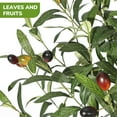 thumbnail image 3 of Artificial Olive Tree, Faux Olive Tree Indoor Fake Silk Plant with Realistic Trunk, Leaves, Fruits and White Planter, Faux Potted Tree for Home Decor and Housewarming Gift, 1Pack/2Pack, 3 of 7
