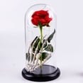 thumbnail image 2 of Rose Flower Gifts for Women, Forever Rose in Plastic Dome Romantic Gifts for Her Christmas Anniversary Valentine's Day Mother's Day Birthday - Red, 2 of 7