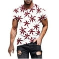 thumbnail image 2 of WAENQINLA Big and Tall Hawaiian Tee Shirts for Men Tropical Palm Tree Graphic Tees Crew Neck Short Sleeve Summer Beach T-Shirt Vacation Tops, 2 of 5