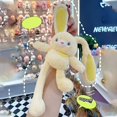 thumbnail image 2 of RUIG Bunny Stuffed Animal Toys, Easter Plush Bunny Rabbit Doll Plush Toys Soft Cotton Filling,Keychain Cute Stretchable Long Ears Bunny Doll, Girls First Friend Gifts for Birthday -12 in, 2 of 9