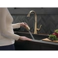 thumbnail image 2 of Delta 19802Z-Dst Lenta Single-Handle Pull-Down Kitchen Faucet - Bronze, 2 of 9