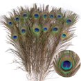 thumbnail image 4 of 10 plumas de pavo real reales de 25 a 50 cm para manualidades, joyería, jarrón, decoración de mesa, pluma para escenario, accesorios para vestidos de boda, 4 of 4