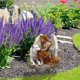 thumbnail image 3 of Tarjeta Acrílica Para Jardín Con Ranura Para Tarjetas, Para Decoración Exterior Con Temática De Hadas, Ángeles, Lobos Y Flores, Para Decorar El Jardín., 3 of 5