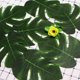 thumbnail image 2 of Mesa De Palma Artificial Posavasos De Taza De Licencia Falsa Fiesta Temática Hawaiana Diy Decoración De Boda Tropical 12 Uds. Posavasos Guardurnaity HA020673-00, 2 of 5