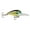 Bluegill, variant on Storm Wiggle Wart MadFlash