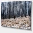 thumbnail image 2 of Moody Cold Forest with Thick Woods - Forest Canvas Art Print, 2 of 4