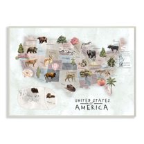 Stupell Industries United States Map Wilderness Animal Illustrations Wall Plaque by Ziwei Li