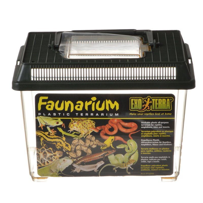 Kust papier Saai Exo-Terra Faunarium Plastic Terrarium Small - (9"L x 6"W x 6.5"H) -  Walmart.com
