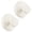 White, variant on Wreath Hanger for Front Door, Heavy Duty Suction Cup Reef Hook