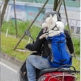 thumbnail image 2 of Pet Dog Carrier Travel Backpack Outdoor Ventilation Breathable Bicycle Motorcycle Outdoor Hiking Sport Mesh Bag Tw, 2 of 5