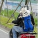 thumbnail image 2 of Pet Dog Carrier Travel Backpack Outdoor Ventilation Breathable Bicycle Motorcycle Outdoor Hiking Sport Mesh Bag Tw, 2 of 4