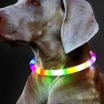 thumbnail image 4 of Collar luminoso para mascotas, cortable, para perros pequeños, medianos y grandes, 4 of 5