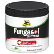 W F Young Inc 444965 13Oz Fungasol Ointment