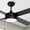 48in - Black, variant on Dextrus 52in Black Modern Indoor Outdoor Ceiling Fan with Remote Control