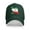 Green, variant on WKSCLPAI Iran Flag Pattern Printed Adjustable Hat, Versatile Unisex Cap for Cultural Celebrations