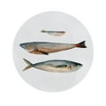 thumbnail image 2 of Scarvey, Emma 15x15 Gold Ornate Wood Framed with Double Matting Museum Art Print Titled - Three Fish II, 2 of 4