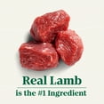 thumbnail image 2 of Nutro Natural Choice Healthy Weight Adult Lamb & Rice Dry Dog Food 9.07kg, 2 of 9