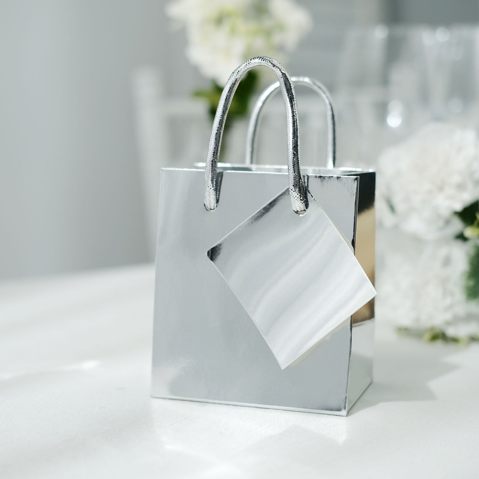 Product Detail - Gift Bag with Silver Tissue - 10x12