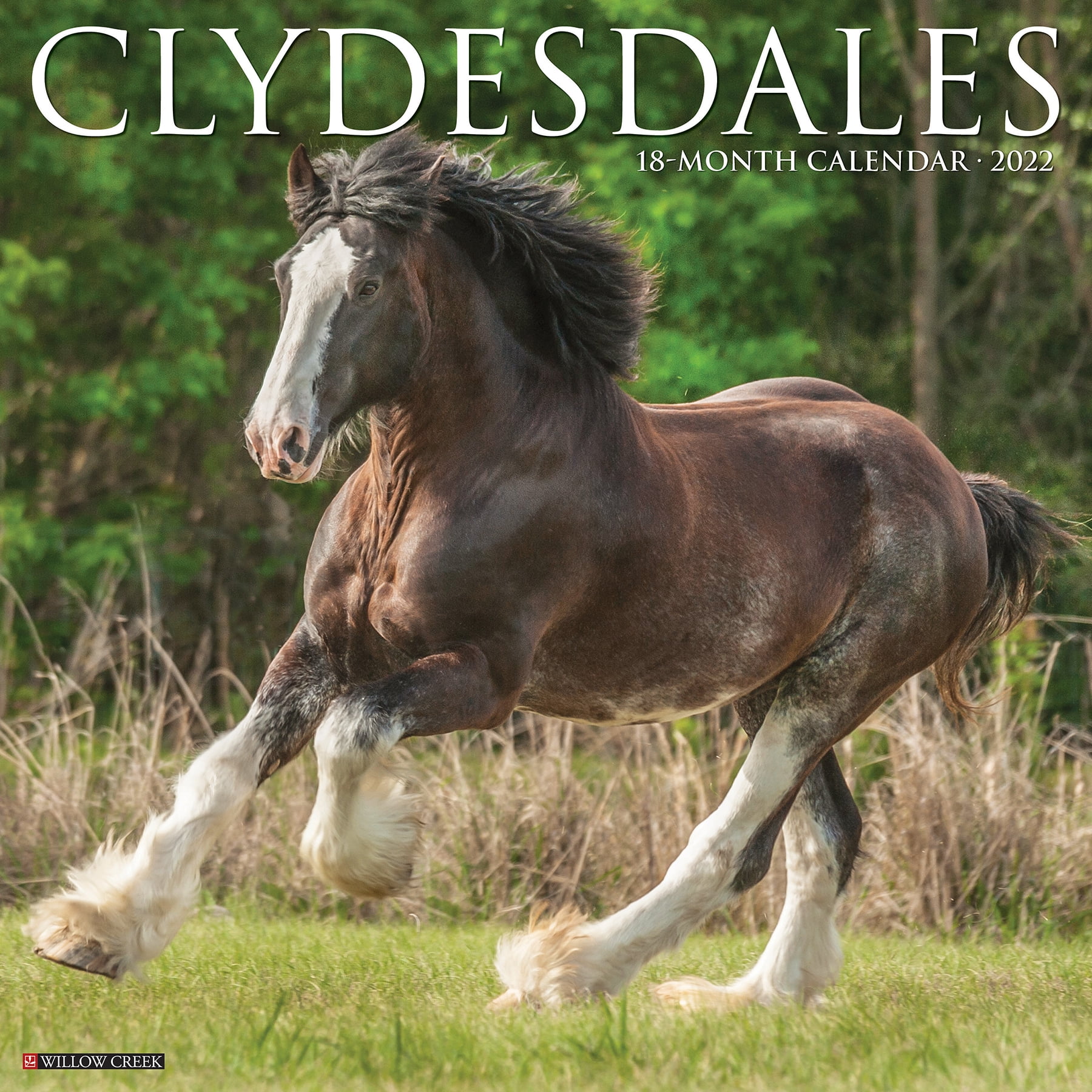 Willow Creek Press Clydesdales 2022 Wall Calendar (Horses) - Walmart.com